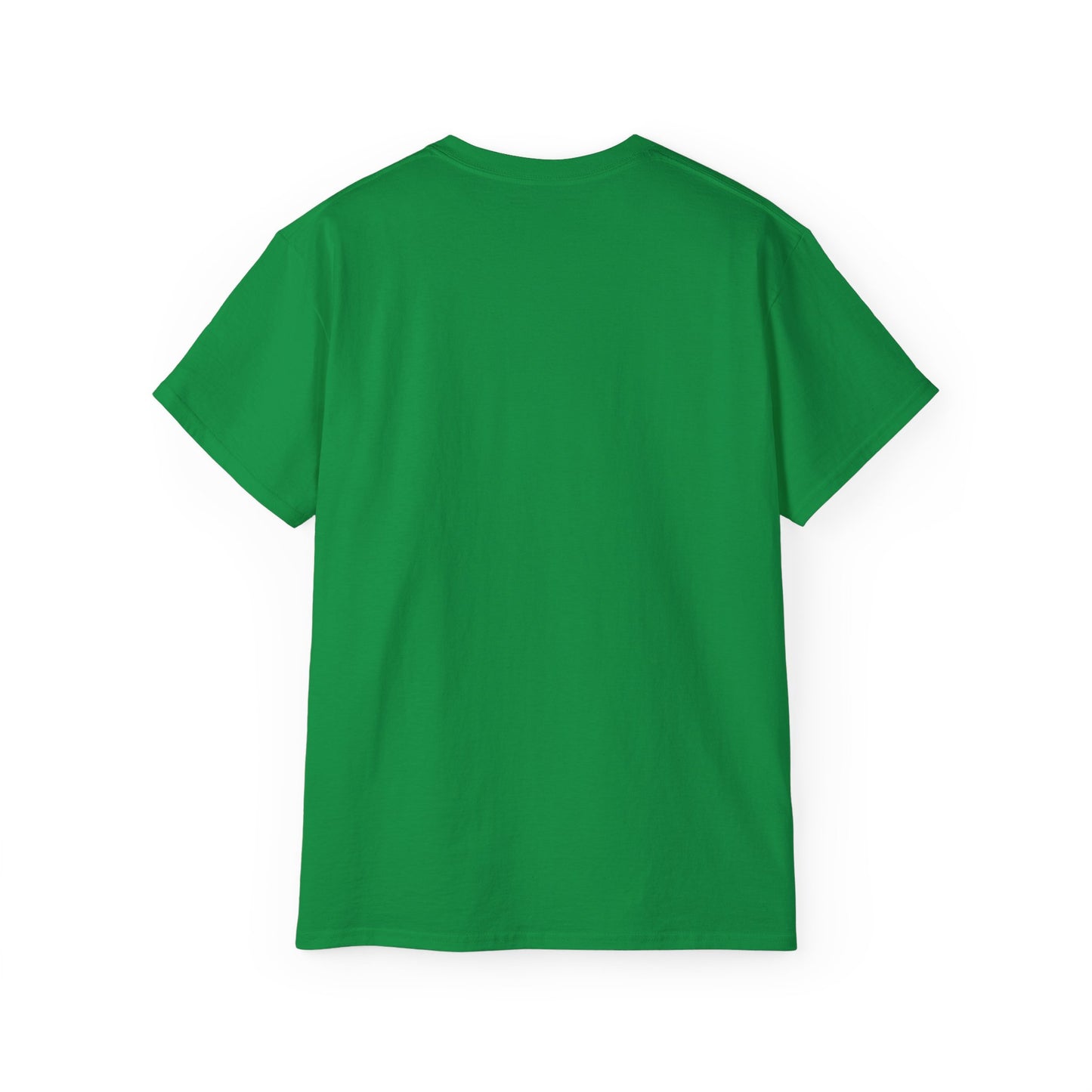 Dublin Doorways - Unisex Softstyle Tee