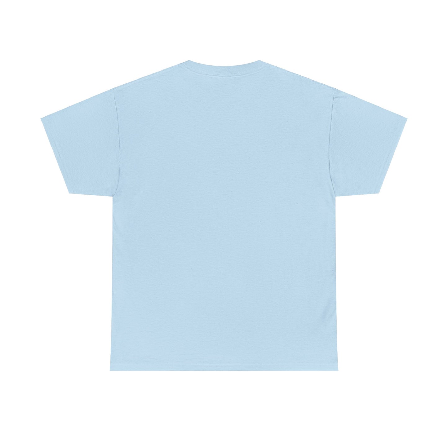 Jaipur Welcome - Unisex Heavy Cotton Tee: Gateway to Royalty