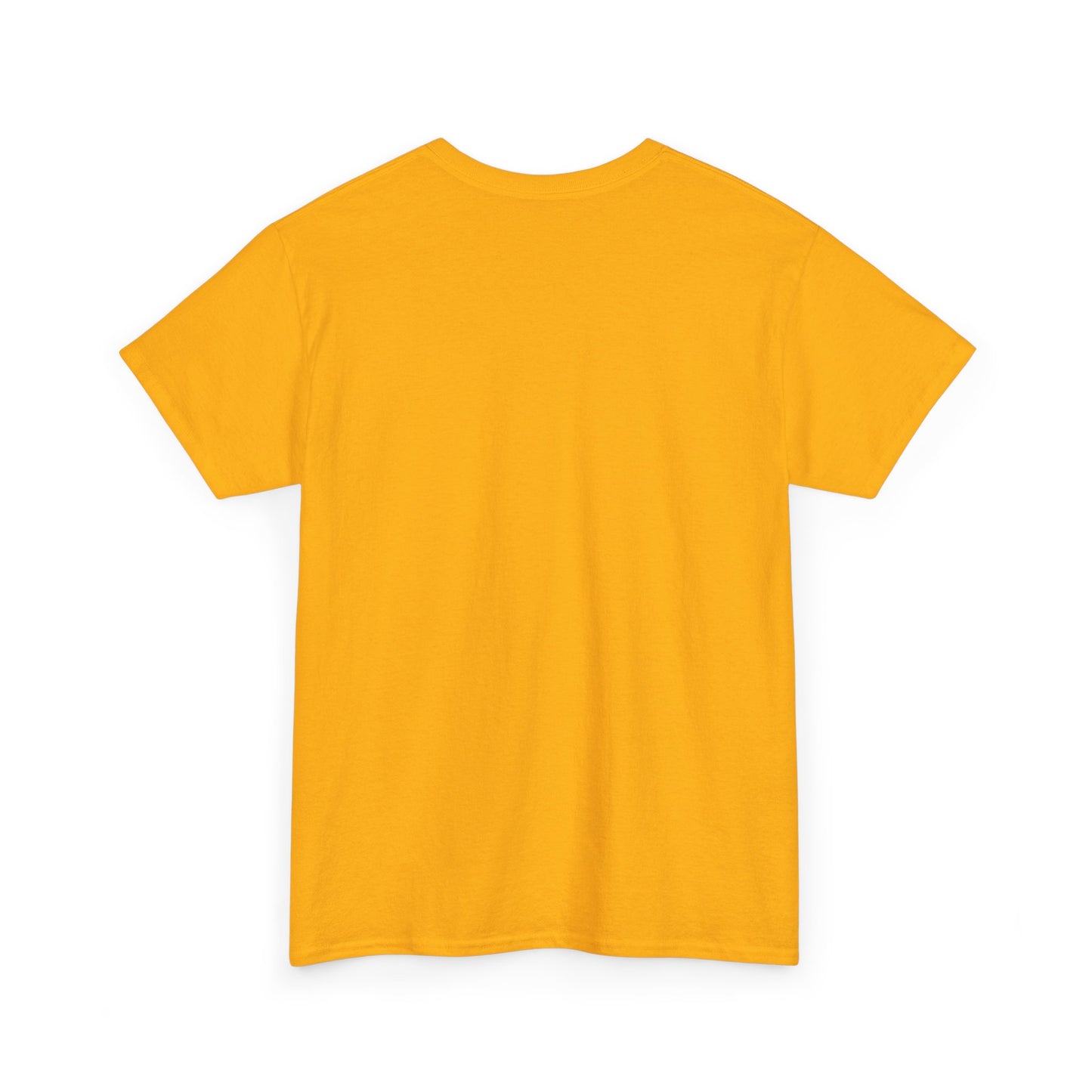Jaipur Welcome - Unisex Heavy Cotton Tee: Gateway to Royalty