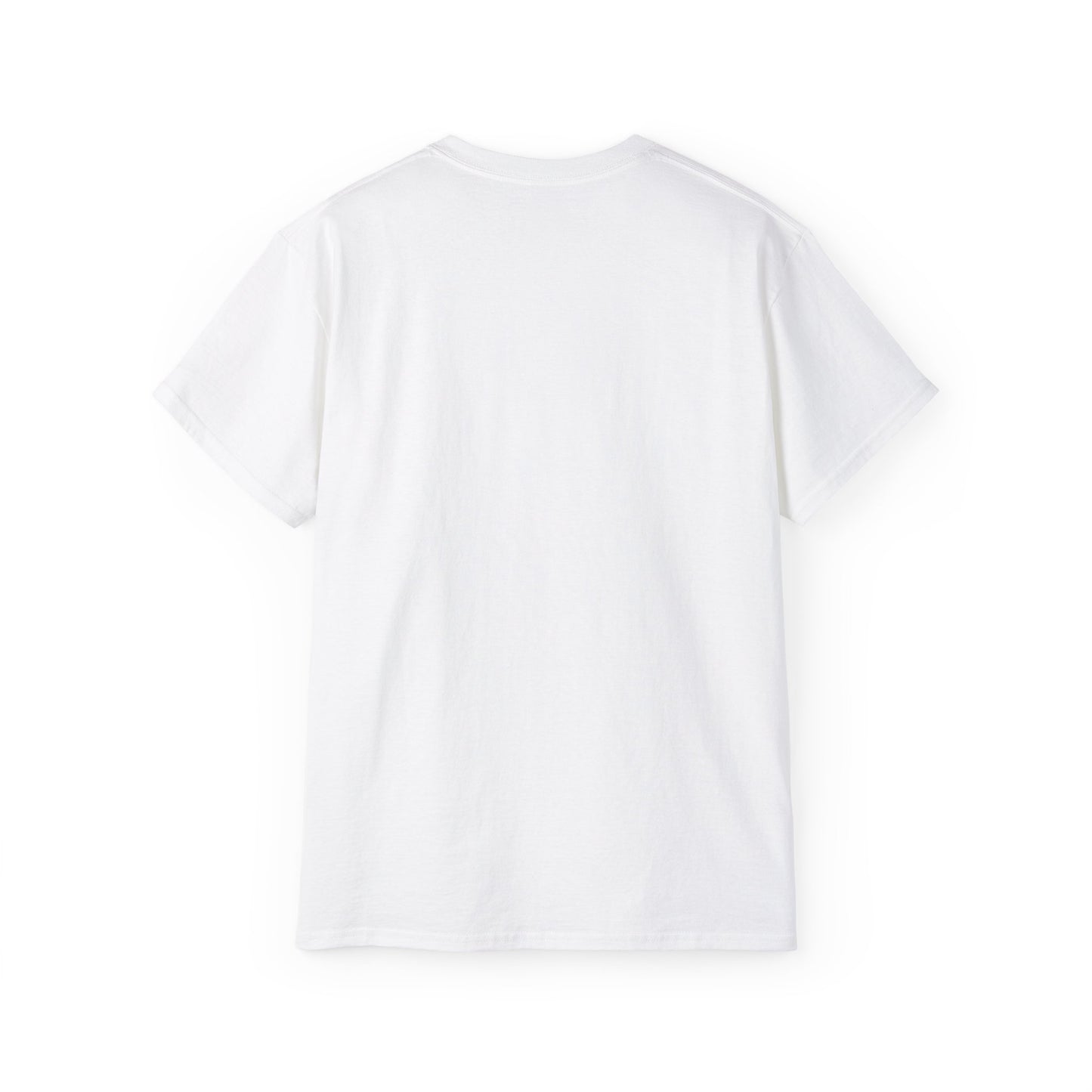 Dublin Doorways - Unisex Softstyle Tee