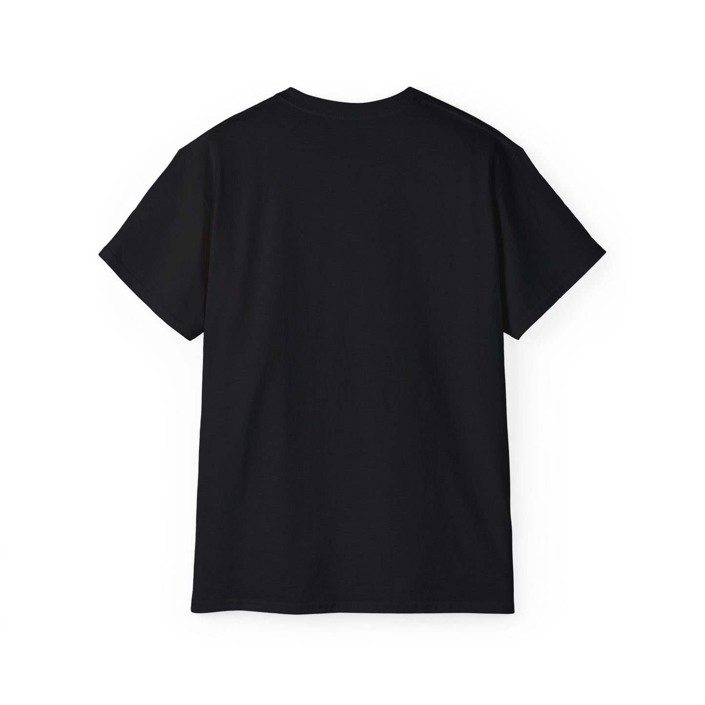 Dublin Doorways - Unisex Softstyle Tee